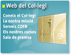 Web del Col·legi